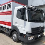 MERCEDE BENZ ATEGO 818 TRASPORTO ANIMALI VIVI